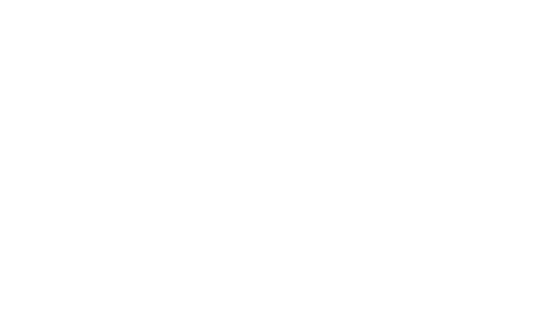 Consalia Sales Improvement Logo