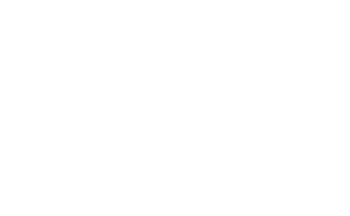 Lisa Roukin Logo