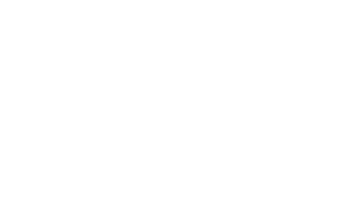 Cook with Lisa Roukin Logo