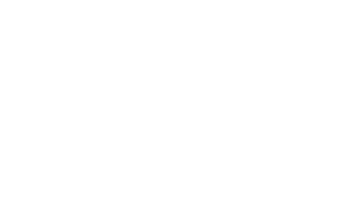 University of Essex Summer School Logo
