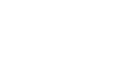 Strategic Disciplines Logo